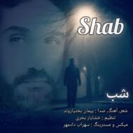 دانلود آهنگ شب پیمان بختیاروند